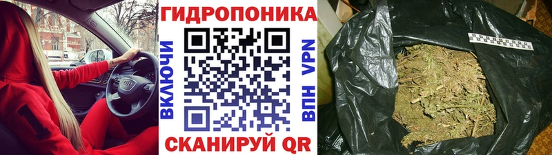 купить закладку  Омск  Каннабис AK-47 